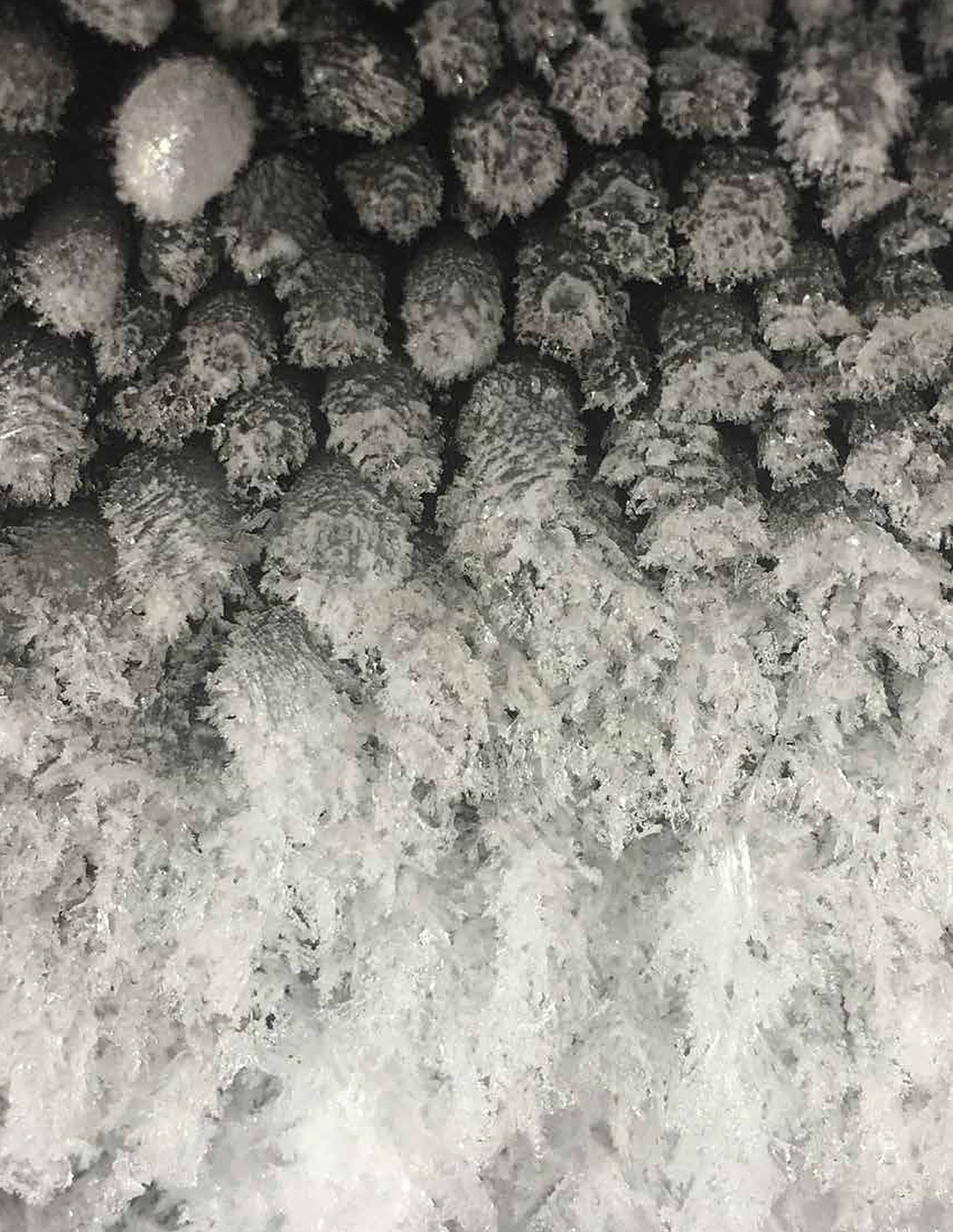 White frost, close up