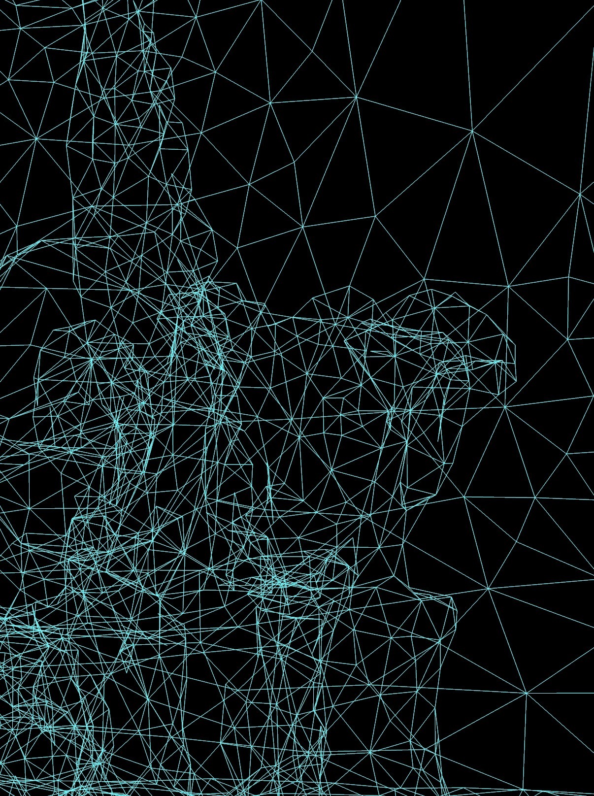 The same scene as wireframe: cyan triangle edges on black. Dense triangles on the foreground; sparse triangles spanning the background.