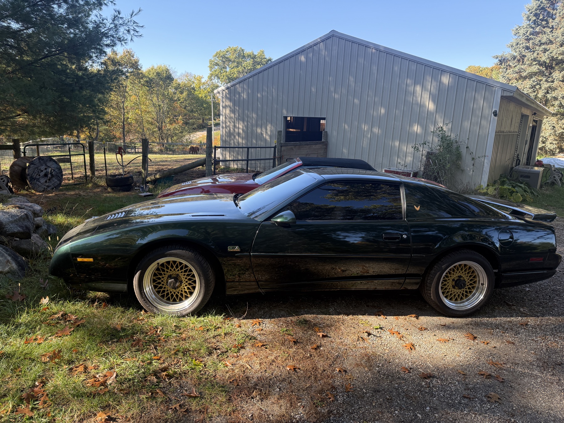 Phil's 1991 Trans Am GTA. WA-8555 Black, basecoat-clearcoat — the next chemistry generation. The clearcoat is what reads as 'modern paint.'
