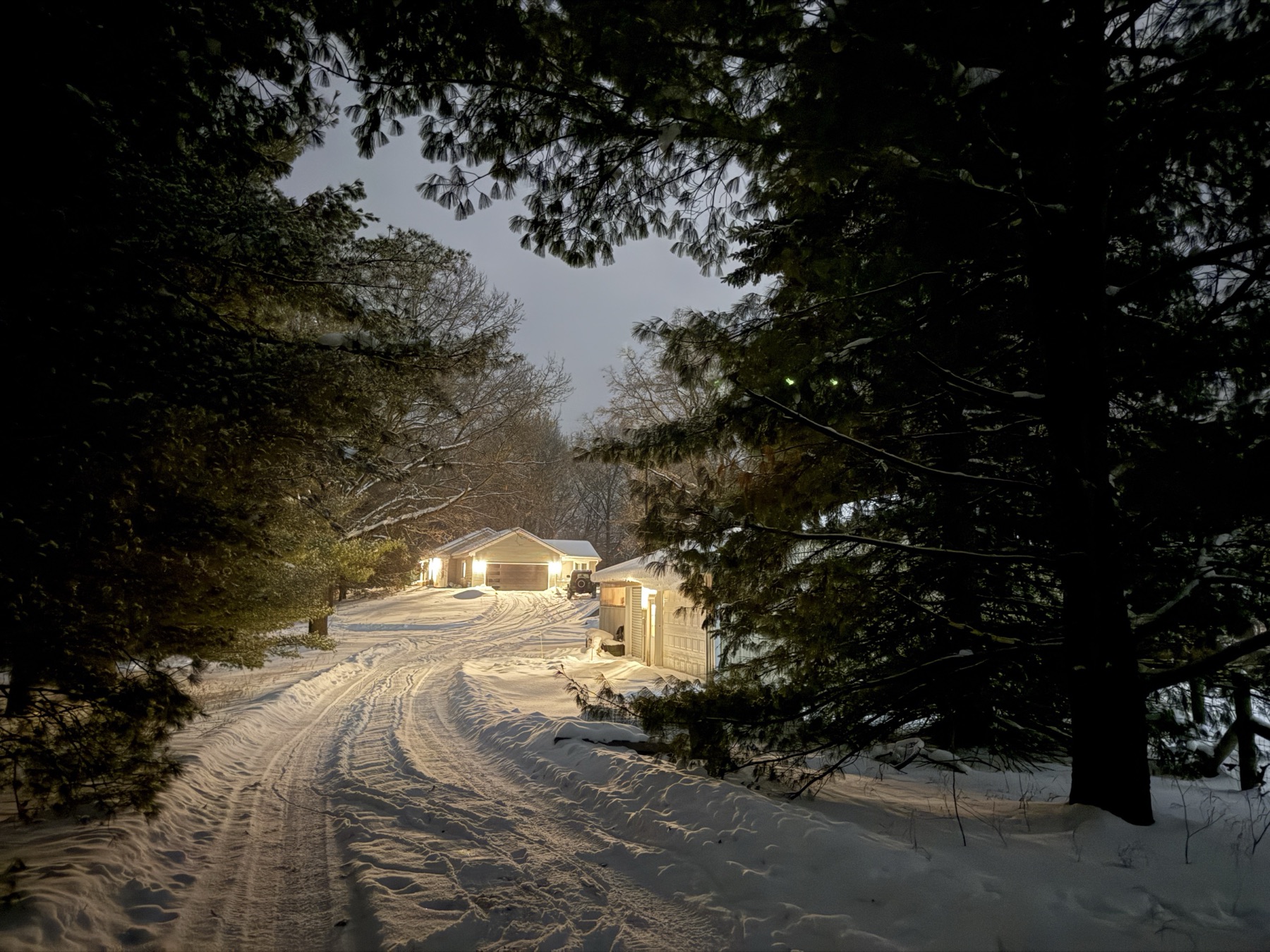 A snow-covered driveway curving toward a low house with glowing porch lights, seen through white pine branches at dusk.