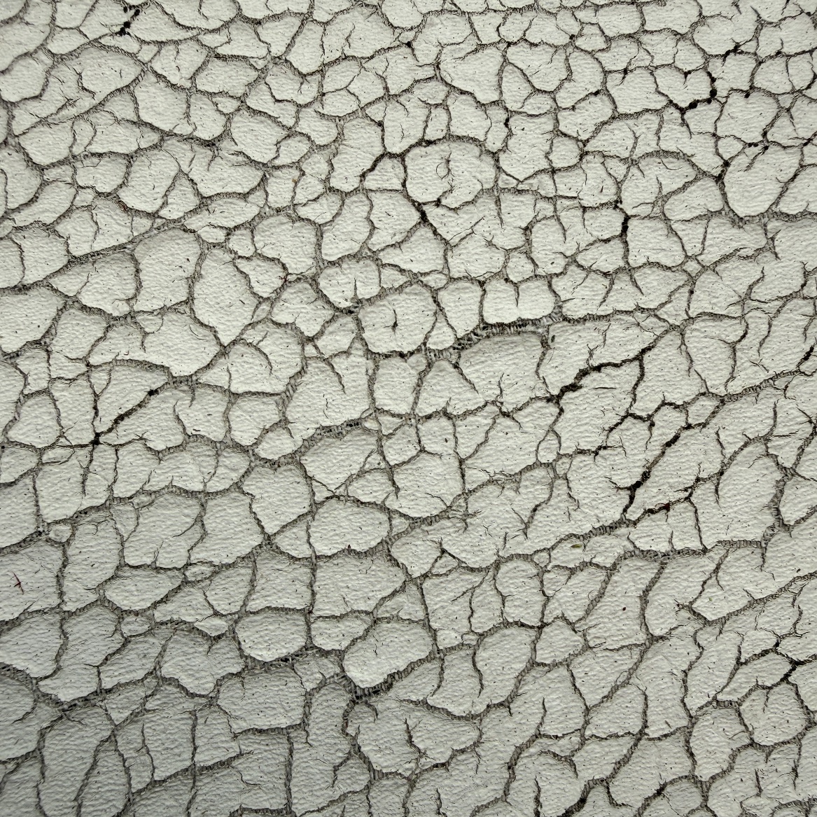 A close-up, macro photograph of a white-to-off-white coated surface broken into hundreds of small irregular polygonal plates by a network of hairline cracks. A fine diagonal ridged texture is visible within the unbroken plates. Several crack junctions show short pale fiber-like wisps standing up out of the gap. One wider, straighter crack runs diagonally across the frame, and a small rust-orange fleck sits within a plate near the lower left.