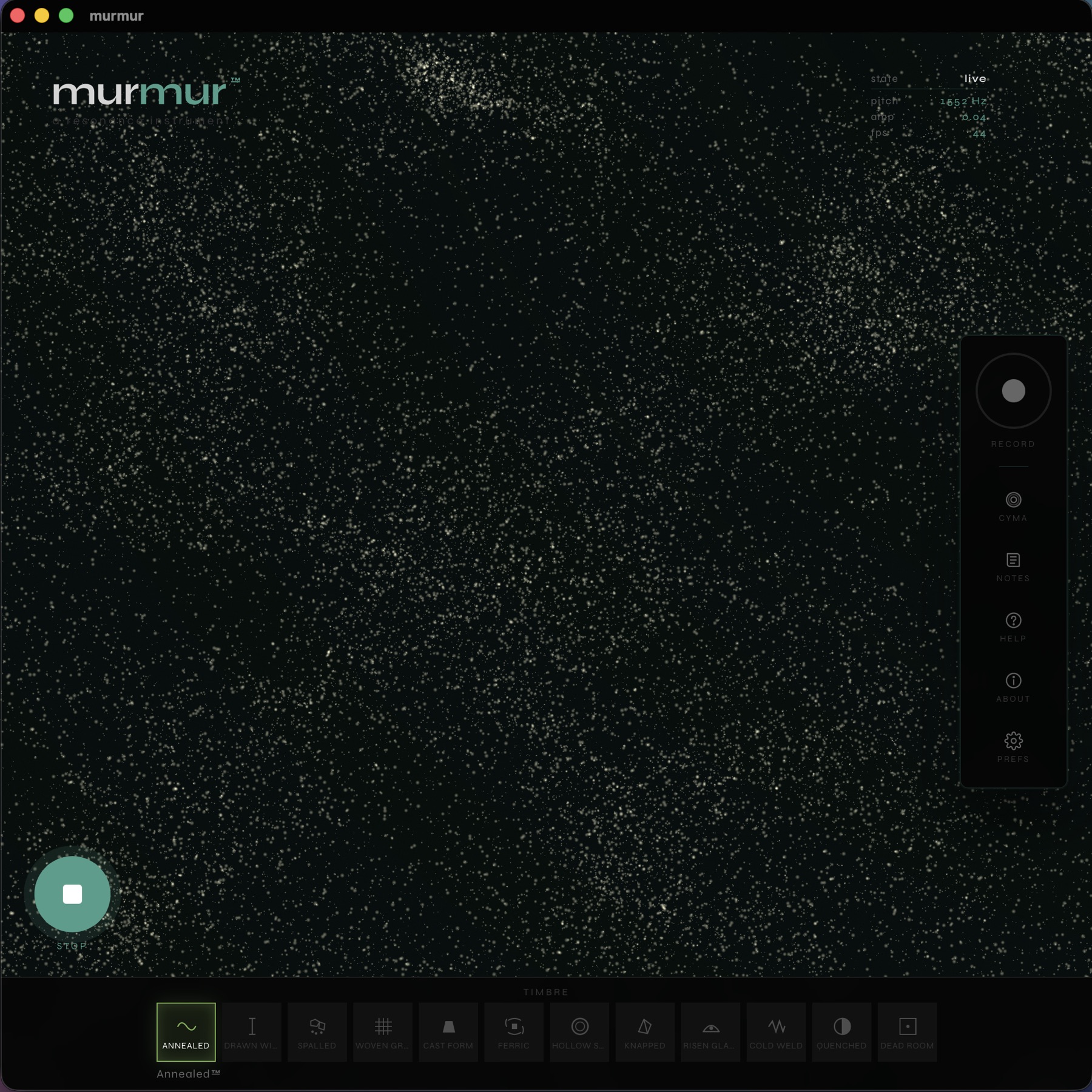murmur showing a stable Chladni pattern of bright nodal lines forming concentric figures on a verdigris field